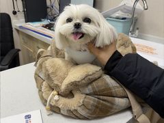 -宠颐生宠物医院·综合诊疗(先锋分院)