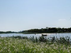 -春花秋色城市公园