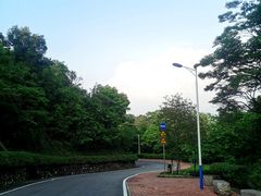 -火炉山森林公园