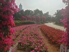 -万绿园