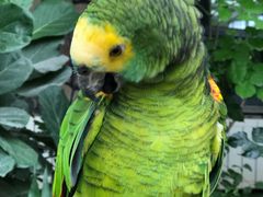 -南宫五洲植物乐园