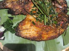 -金塔傣乡·云南民族特色菜·傣味手抓饭(金瓦路店)