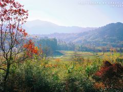 -塔川景区