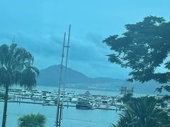 -希尔顿南海酒店·观廊大堂吧·海景下午茶