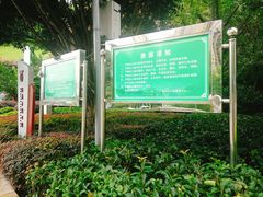 -龙头寺公园