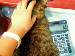 -么凤(波斯富街店)