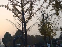 -大兴滨河森林公园