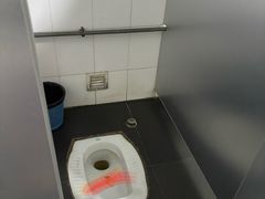 -绿堤公园