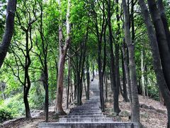 -火炉山森林公园