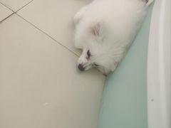 -怪兽屋·羊驼·猫咖·狗咖(俊华广场店)