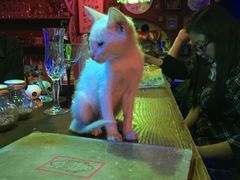 -星宿秘码(鼓浪屿老店)