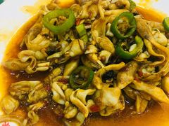 -澳门环岛游湾仔码头