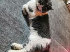 -机械师超级密室(小寨华旗店)