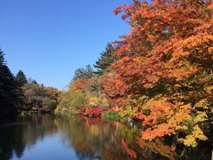 -轻井泽高原教堂