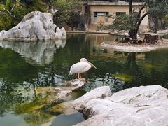 -昆明动物园