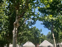 -九十九顶毡房(阜石路店)