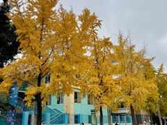 -四川大学(望江校区)