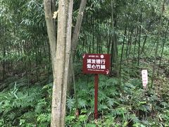 -都江堰中华大熊猫苑
