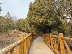 -白水寺森林公园