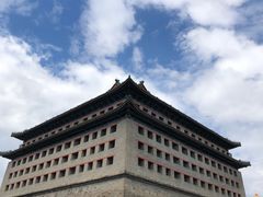 -云腾食府·云南菜