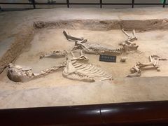 -洛阳周王城天子驾六博物馆