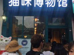 -猫咪博物馆(顶澳仔猫街店)