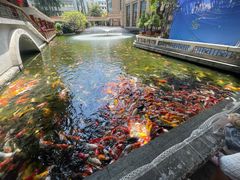 -番禺宾馆丽苑厅