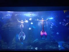 -多彩贵州城极地海洋世界