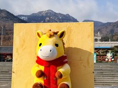-沂蒙山旅游区云蒙景区(蒙山国家森林公园)