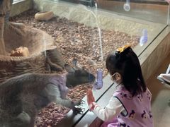 -昆明大悦城未来动物城(螺蛳湾中心店)
