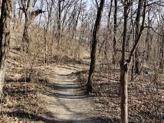 -阳台山自然风景区