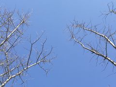 -杭州半山国家森林公园