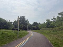 -白鹭湾湿地公园