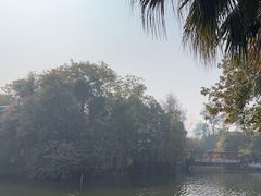 -荔湾湖公园