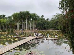 -中国科学院西双版纳热带植物园