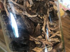 -70cat德文卷毛猫·缅因猫纯种猫舍