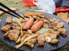 -合肥滨湖国家森林公园