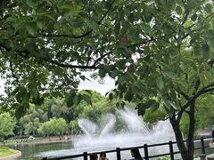 -上海共青森林公园