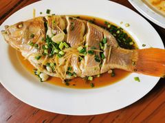 -绿光森林餐厅