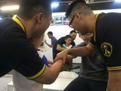 -温鉴良实用咏春拳