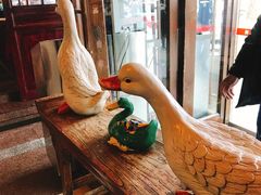 -四季民福烤鸭店(王府井灯市口店)