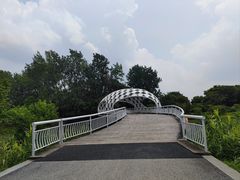 -同里国家湿地公园