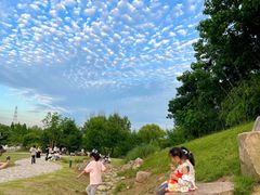 -羊山湖公园