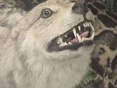 -下渚湖国家湿地公园科普馆