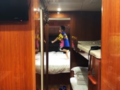 -崇明东平国家森林公园烧烤房车露营地