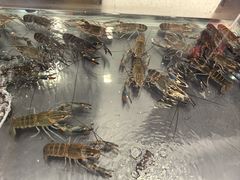 -阿胖龙虾(罍街店)