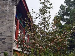 -阳台山自然风景区