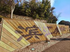 -上海滨江森林公园