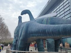 -河南自然博物馆