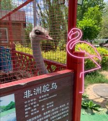 -萌宠亲子动物乐园(槐房万达店)